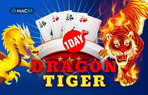 1 Day Dragon Tiger-icon